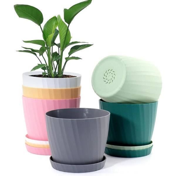 Garden 6 in. L x 5.7 in. W x 4.9 in. H Multicolor Plastic Round Indoor/Outdoor Planter (6-Pack)