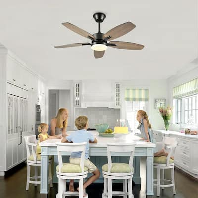 42 in. Black Patio Plywood Blade Ceiling Fan w/Light, Remote, 6 Speed, Quiet DC Motor, Reversible, Timer for Living Room