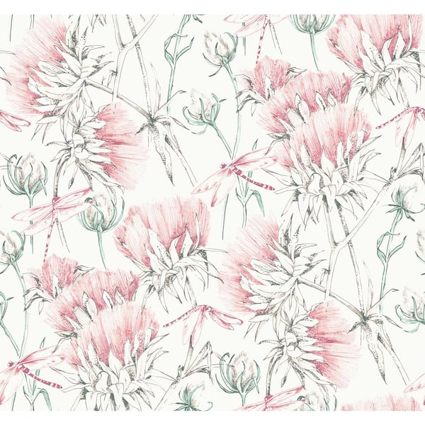 A-Street Prints Pink Mariell Dragonfly Wallpaper Border Sample
