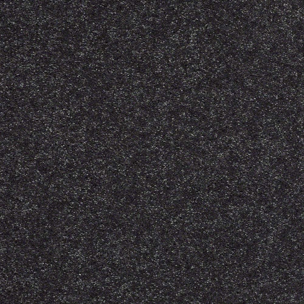 8 in. x 8 in. Texture Carpet Sample - Brave Soul II - Color Darkest Navy price history on PriceWatchPro