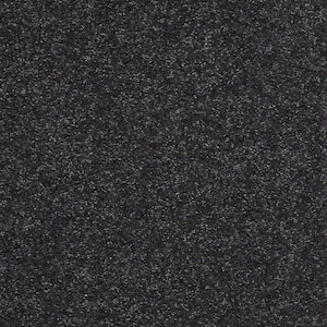 Brave Soul II - Darkest Navy - Blue 44 oz. Polyester Texture Installed Carpet