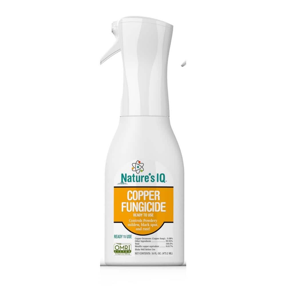 Copper Fungicide Ready to Use on Roses, Flowers and Vegetables Controls Powdery Mildew, Black Spot and Rust