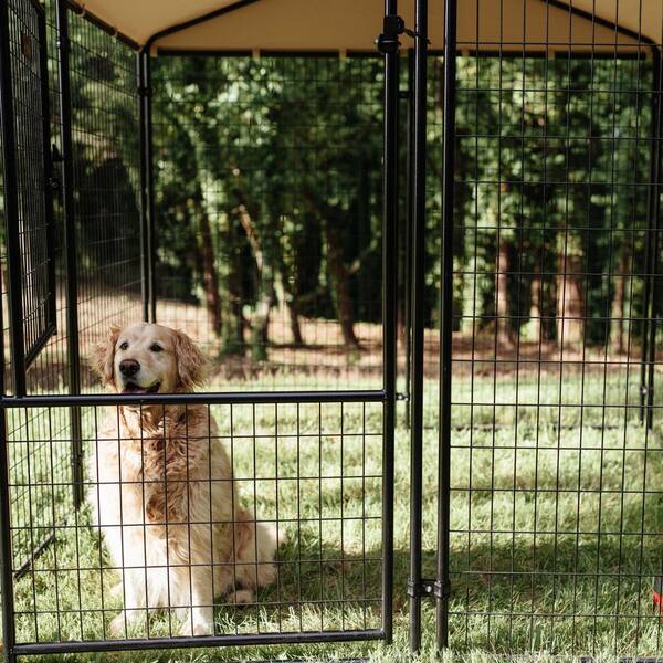 【中古】 Ruby Kennel Club BlindAlley Uforic 6.6 x 9.8 x 6.4 ft ( 78.74