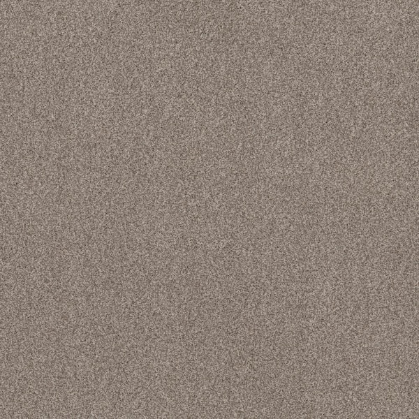 Urban Artifact II - Leather - Brown 60.9 oz. Nylon Texture Installed Carpet
