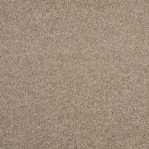 Lifeproof Phenomenal I  - Americana - Brown 48.3 oz. Triexta Texture Installed Carpet