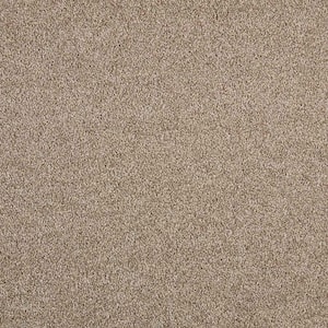 Phenomenal II  - Americana - Brown 62.7 oz. Triexta Texture Installed Carpet