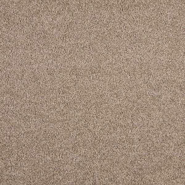 Lifeproof Phenomenal II  - Americana - Brown 62.7 oz. Triexta Texture Installed Carpet