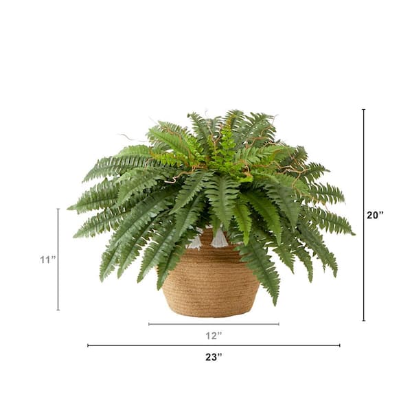 Artificial Ferns