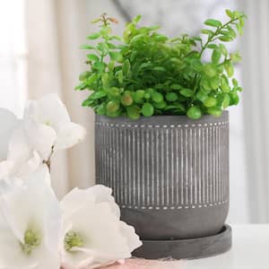 5.75 in. Gray Cement Line Pattern Design and Saucer Planter