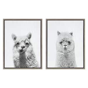 Sylvie "Alpaca Portrait and Hairy Alpaca" by Simon Te of Tai Prints Framed Canvas Wall Art Set 18 in. x 24 in.