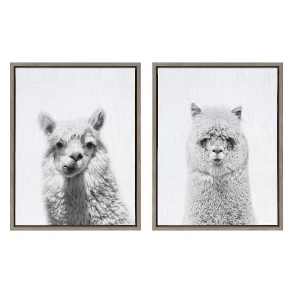 Kate and Laurel Sylvie "Alpaca Portrait and Hairy Alpaca" by Simon Te of Tai Prints Framed Canvas Wall Art Set 18 in. x 24 in.