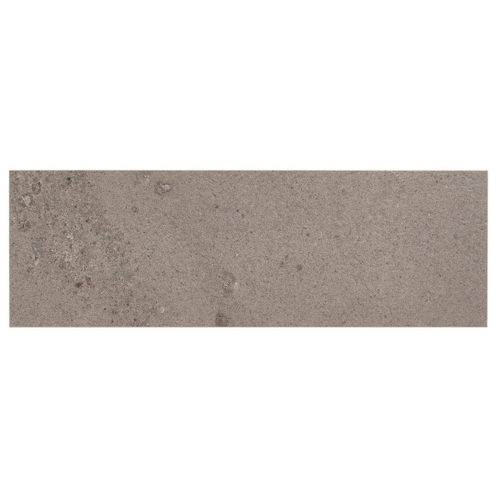 Sarto Petite Taupe Gray 4 in. x 0.35 in. Terrazzo Look Matte Porcelain Floor and Wall Tile Sample price history on PriceWatchPro