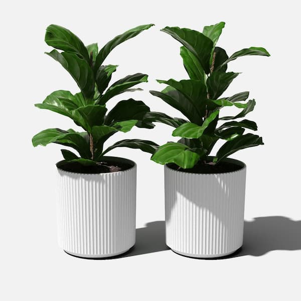 Demi 20 in. Round White Plastic Planter (2 Pack)