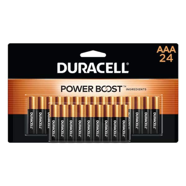 Duracell Coppertop Alkaline AAA Battery (24-Pack), Triple A Batteries  004133300232 - The Home Depot
