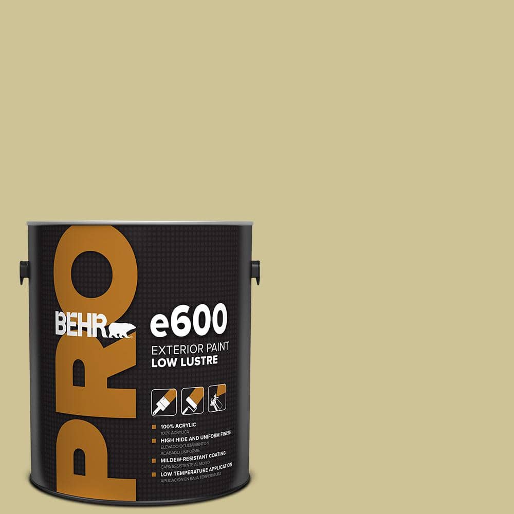 1 gal. #390F-4 Outback Low Luster Exterior Paint price history on PriceWatchPro