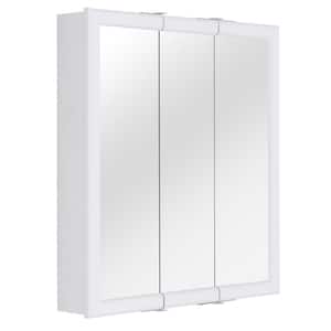 Ryde 24 in. Surface Mount White Medicine Cabinet with Mirror