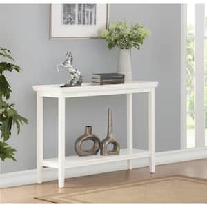 48 in. White Standard Rectangle Wood Console Table with Storage