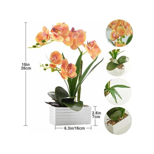 plant fertilizer indoor Instant Plant Food Plant Food