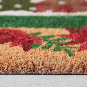 Snowglobe Multicolor 18 in. x 30 in. Coir Christmas Outdoor Doormat