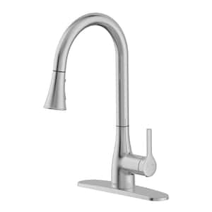 Classic Series Single-Handle Standard Kitchen Faucet in Brushed Nickel