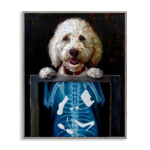 Stupell Industries Funny Dog X-Ray Snacks by Lucia Heffernan 1-Piece Gray Framed Animal Giclee Art Print 30 in. x 24 in.