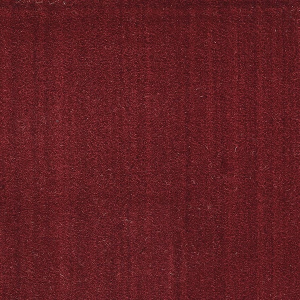 Natural Harmony 6 in. x 6 in. Texture Carpet Sample - Supreme - Color Burgundy