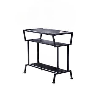 12 in. W Black Finish Metal Frame, Wood Shelves, Top Glass, Davos Side End Table with 2 Shelves