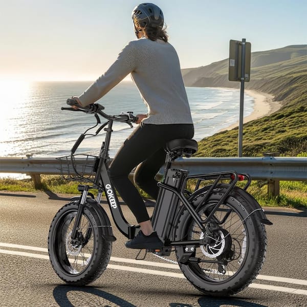 low speed electric bicycle PACTO E-ONE - Folding Bike - 20 inch - Shimano 7 Derailleur - entry Frame Powerful 750W Peak Smooth Commute Power Rated 500W brushless motor with 750W peak output Adventure Neo Allroad Speed Low