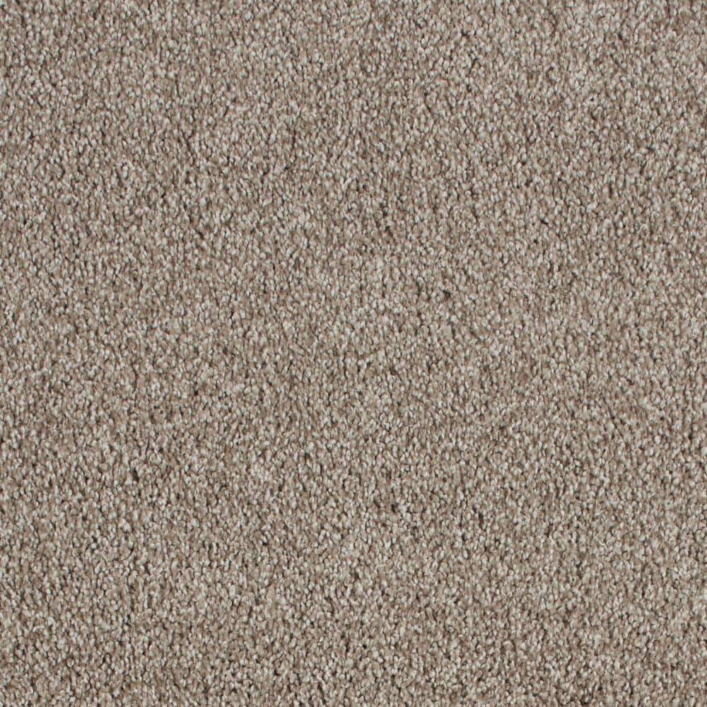 8 in. x 8 in. Texture Carpet Sample - Northern Hills I -Color Hill Top price history on PriceWatchPro