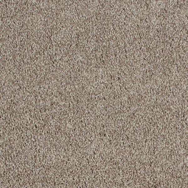Lifeproof with Petproof Technology 8 in. x 8 in. Texture Carpet Sample - Northern Hills II -Color Hill Top
