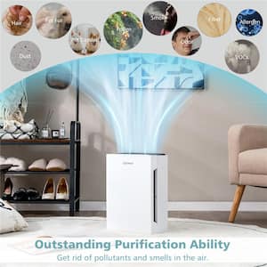 H13 True HEPA Air Purifier Portable Air Cleaner with Adjustable Wind Speeds
