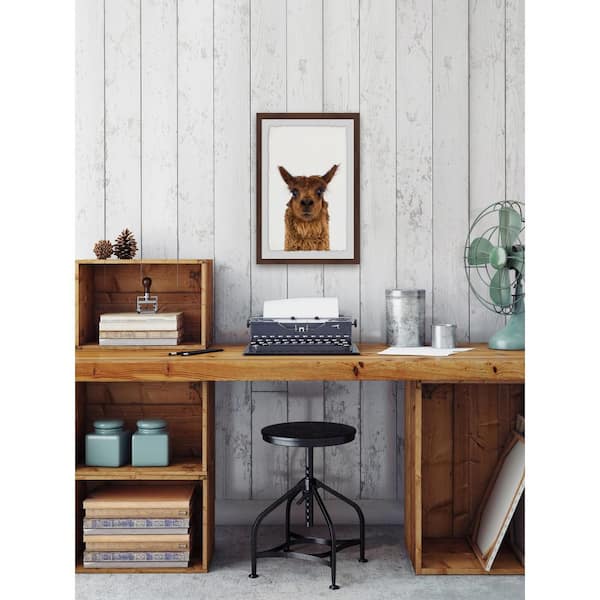Unbranded 36 in. H x 24 in. W "Staring Llama" by Marmont Hill Framed Printed Wall Art