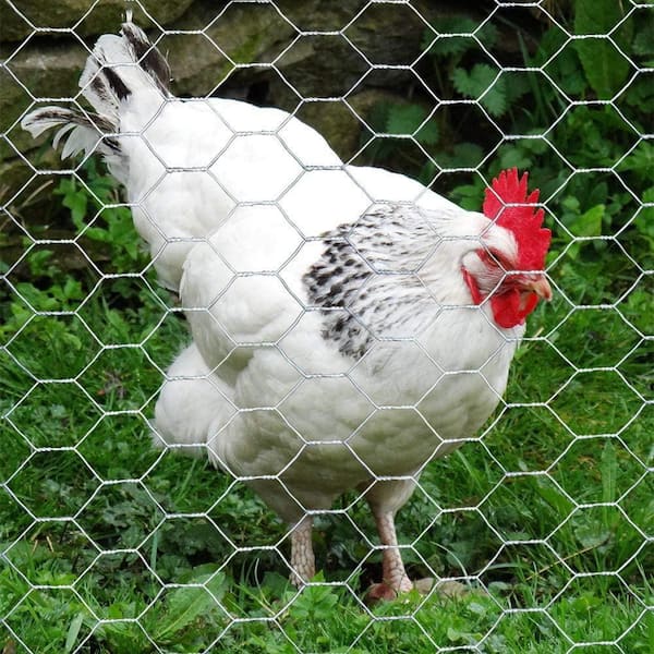 40x300cm Plastic Chicken Wire Fence Mesh Hexagonal Fencing Wire