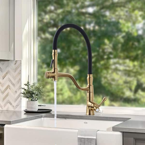 Single Handle Brass High Arc Pull Down Sprayer Kitchen Faucet with Deckplate Included in Brushed Gold