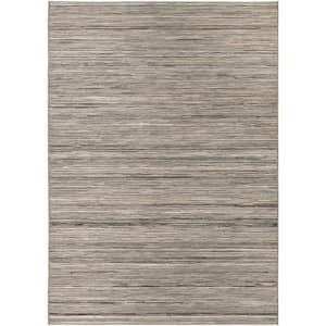 Cape Hinsdale Light Brown-Silver 7 ft. x 10 ft. Indoor/Outdoor Area Rug
