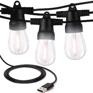 Ambience Pro 10-Light 24.5 ft. Black Indoor/Outdoor USB NonHanging LED 1-Watt S14 3000K Soft White Bulb String Lights