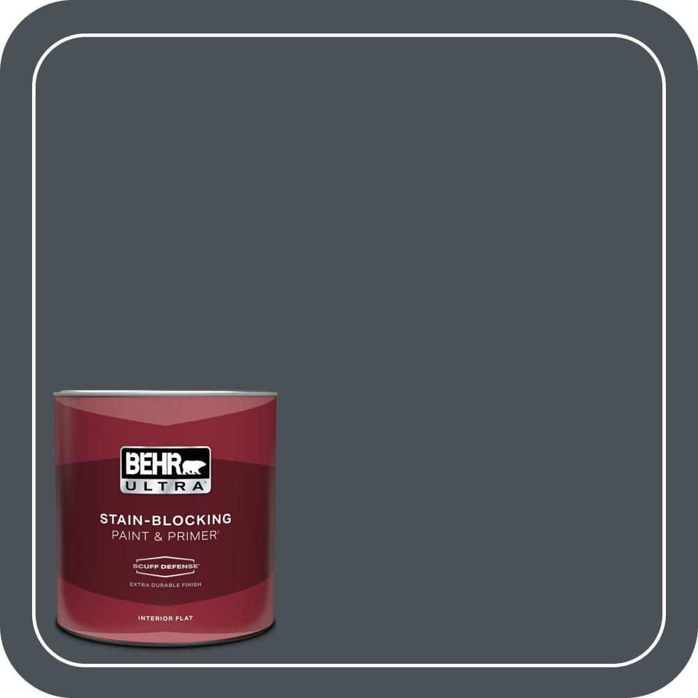 1 qt. #PPU25-22 Chimney Extra Durable Flat Interior Paint & Primer price history on PriceWatchPro