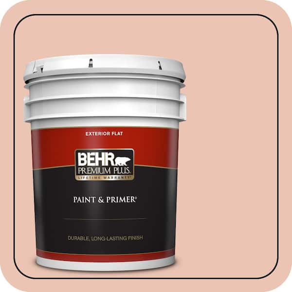 BEHR PREMIUM PLUS 5 gal. Home Decorators Collection #HDC-CT-14 Coral Coast Flat Exterior Paint & Primer