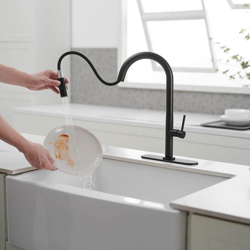 Matte Black Brass High Arc Single Handle Kitchen Faucet