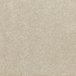 Denfort - Twine - Brown 70 oz. Triexta Texture Installed Carpet