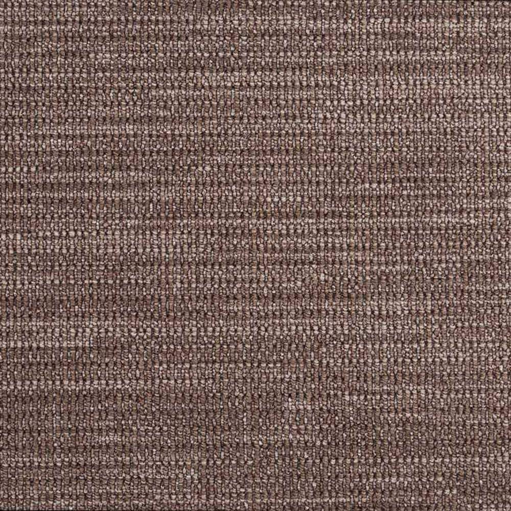 6 in. x 6 in. Loop Carpet Sample - Hypnotic - Color Sable price history on PriceWatchPro