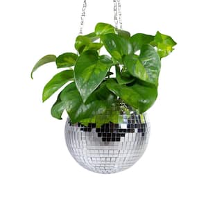 4 in. Dia Silver Plastic and Glass Hanging Basket with Chain and Macrame Rope (1-Pack)