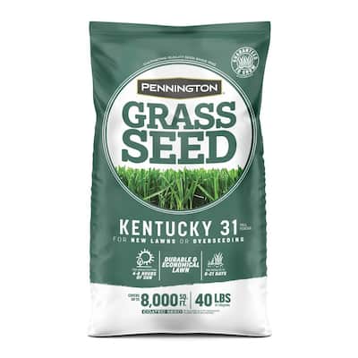Kentucky 31, 40 lbs. Tall Fescue Penkoted Grass Seed
