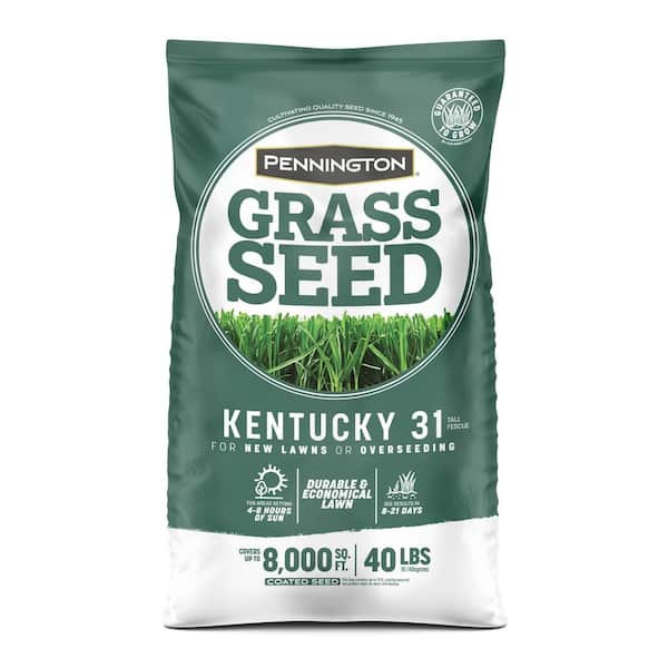 Pennington Kentucky 31, 40 lbs. Tall Fescue Penkoted Grass Seed