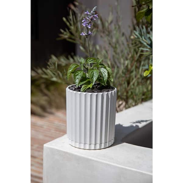 Demi 6 in. Round White Plastic Pot Planter (2-Pack)