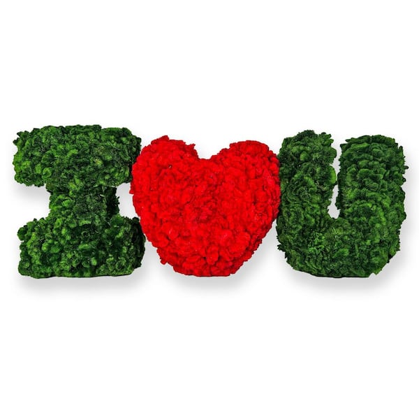 Multi-Colored 4 in. x 4 in. Non Artificial Dried Preserved Decorative I Love You, I Heart You Non Wood Sculpture