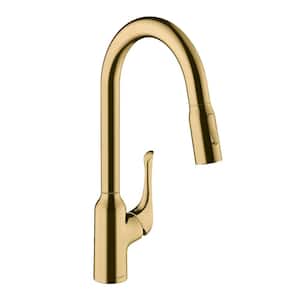 Allegro N Single-Handle Pull Down Sprayer Kitchen Faucet with QuickClean in Brushed Gold Optic