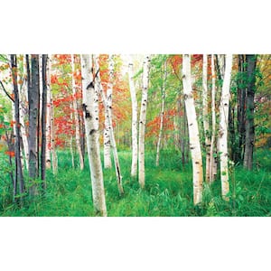 Woods View - Weather Proof Scene for Window Wells or Wall Mural - 100 in. x 60 in.