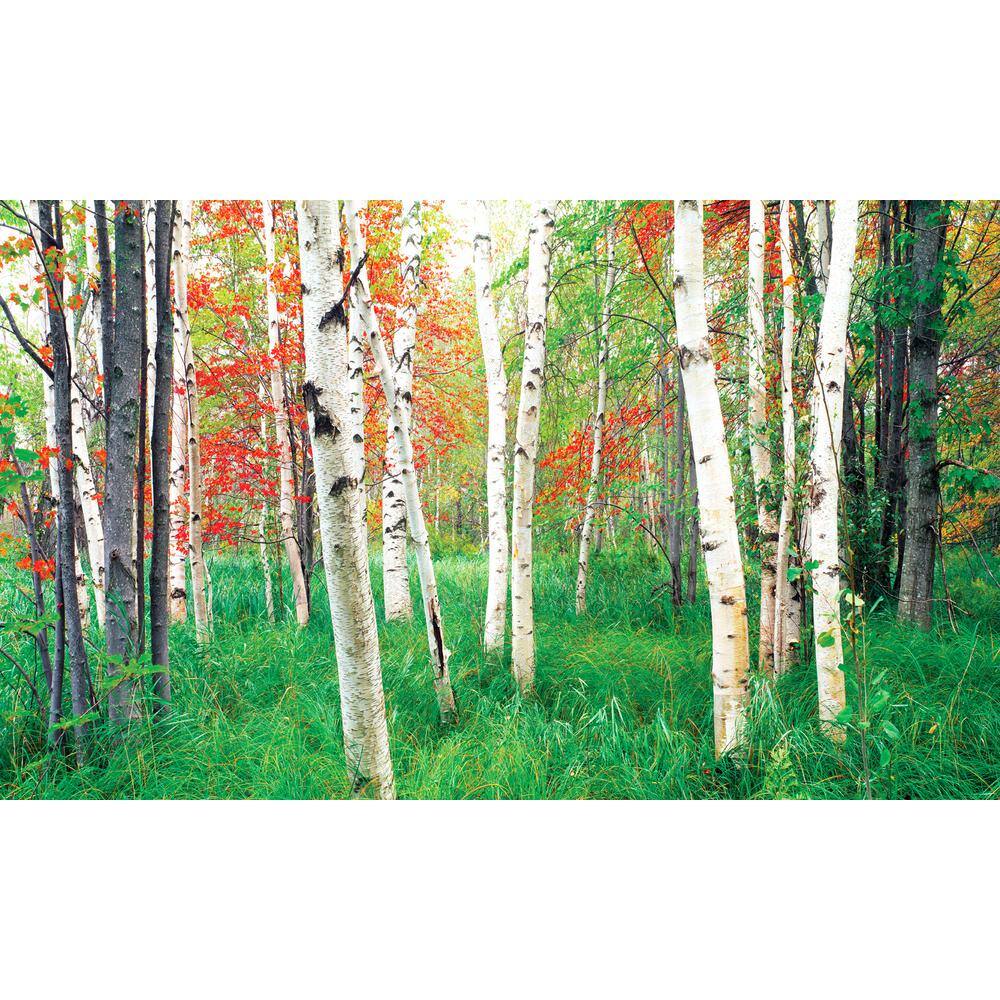 Woods View - Weather Proof Scene for Window Wells or Wall Mural - 100 in. x 60 in. price history on PriceWatchPro