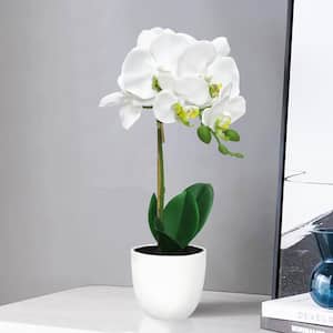 17 in. White Artificial Phalaenopsis Orchid Flower Arrangement in White Pot